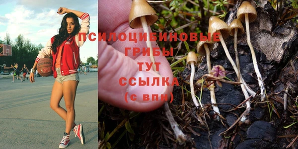 мдпв Наволоки