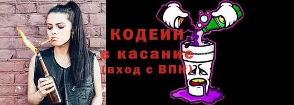 ГАЛЛЮЦИНОГЕННЫЕ ГРИБЫ Арсеньев