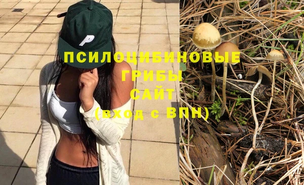 первитин Надым
