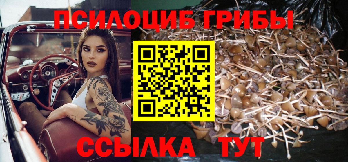 A-PVP Дедовск