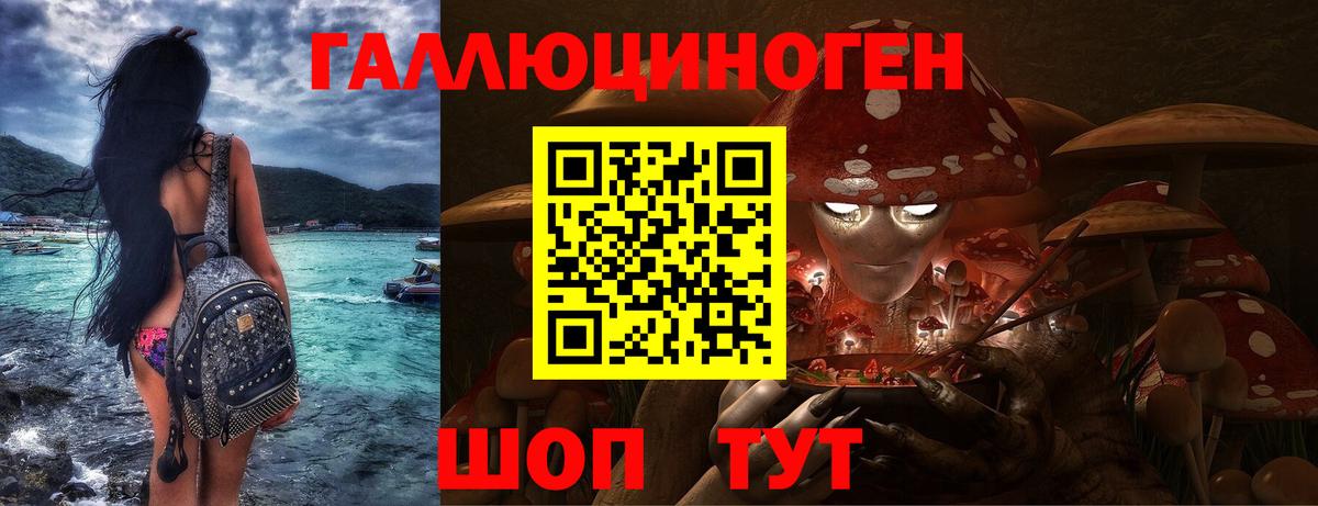 Дедовск  Псилоцибиновые грибы мицелий  Вход с VPN 