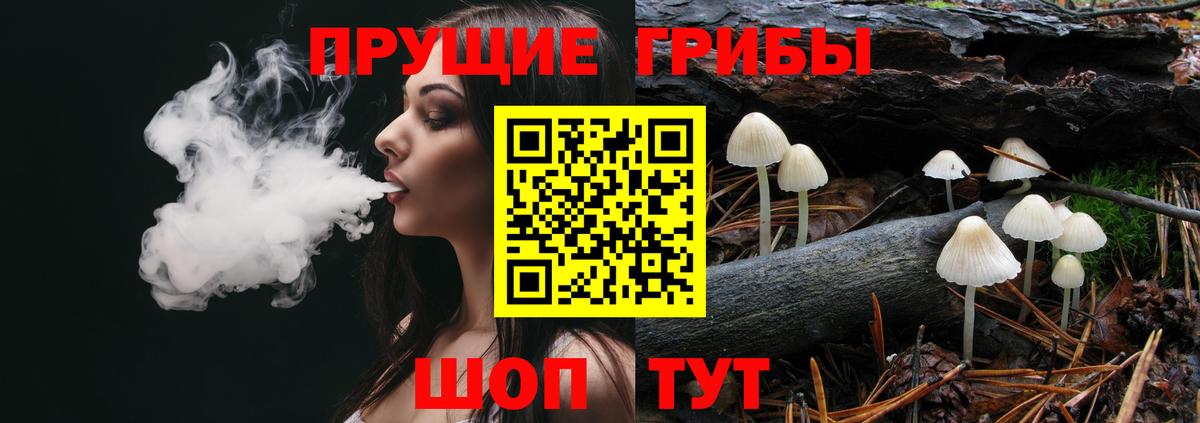 Псилоцибиновые грибы GOLDEN TEACHER  Дедовск  Галлюциногенные грибы Psilocybe 